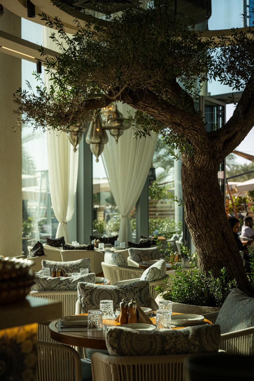 SOYL dining room with its central olive tree and patterned seating