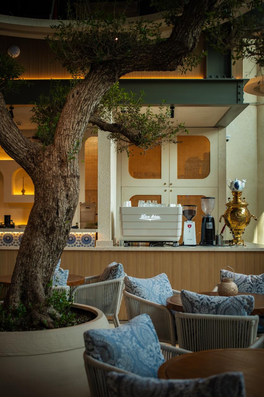 SOYL's central olive tree beside the open kitchen at night